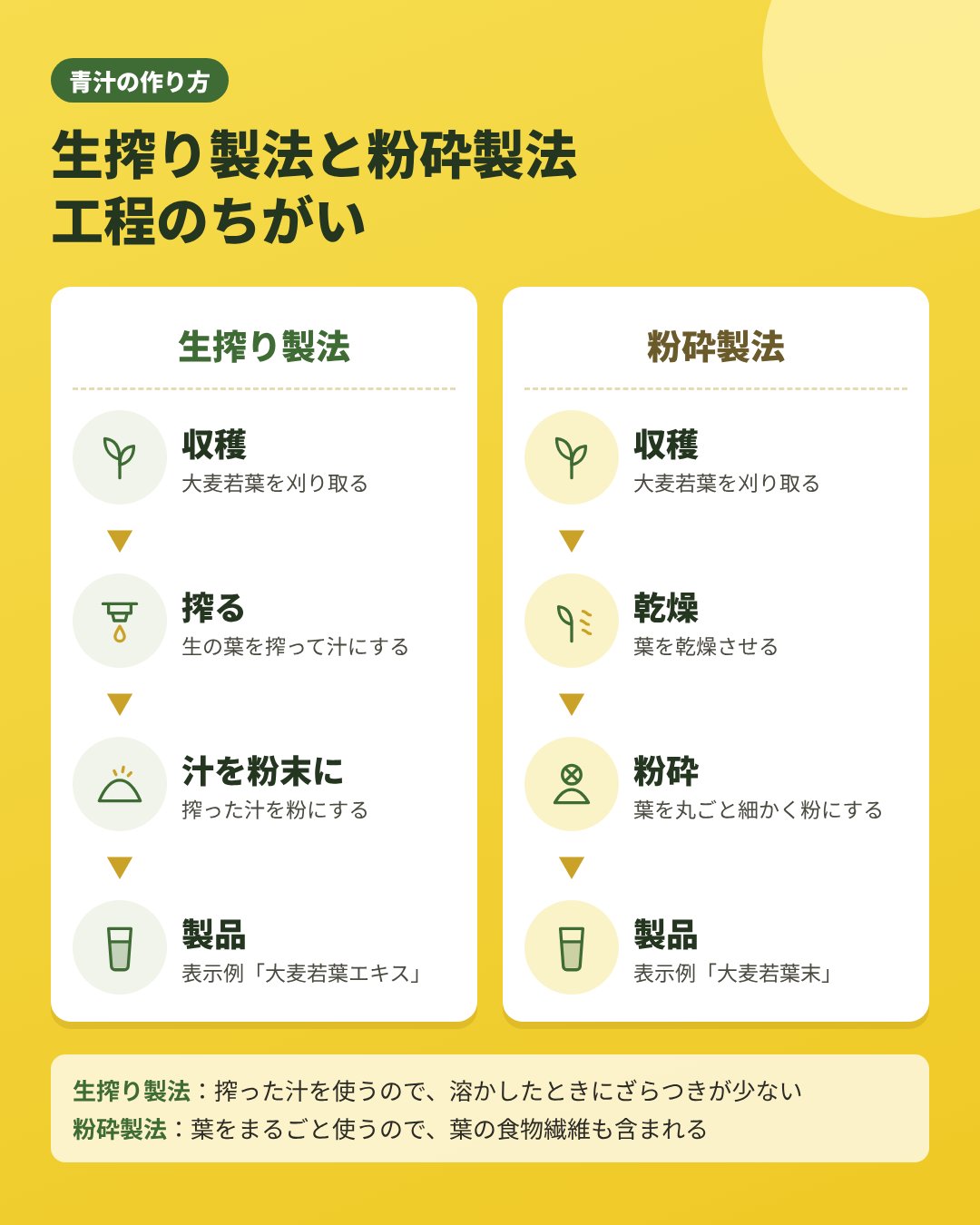 生搾り製法と粉砕製法の工程の比較。生搾りは収穫・搾る・汁を粉末に、粉砕は収穫・乾燥・砕いて粉末に